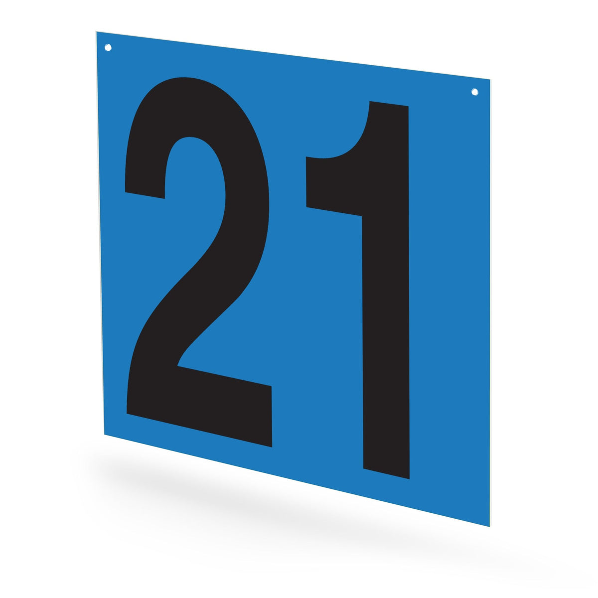 WM22PK21B Heavy Duty Warehouse Aisle Location Signs (22 in x 22 in) Consecutively Numbered (10 /pkg) Numbers 21-30 Blue